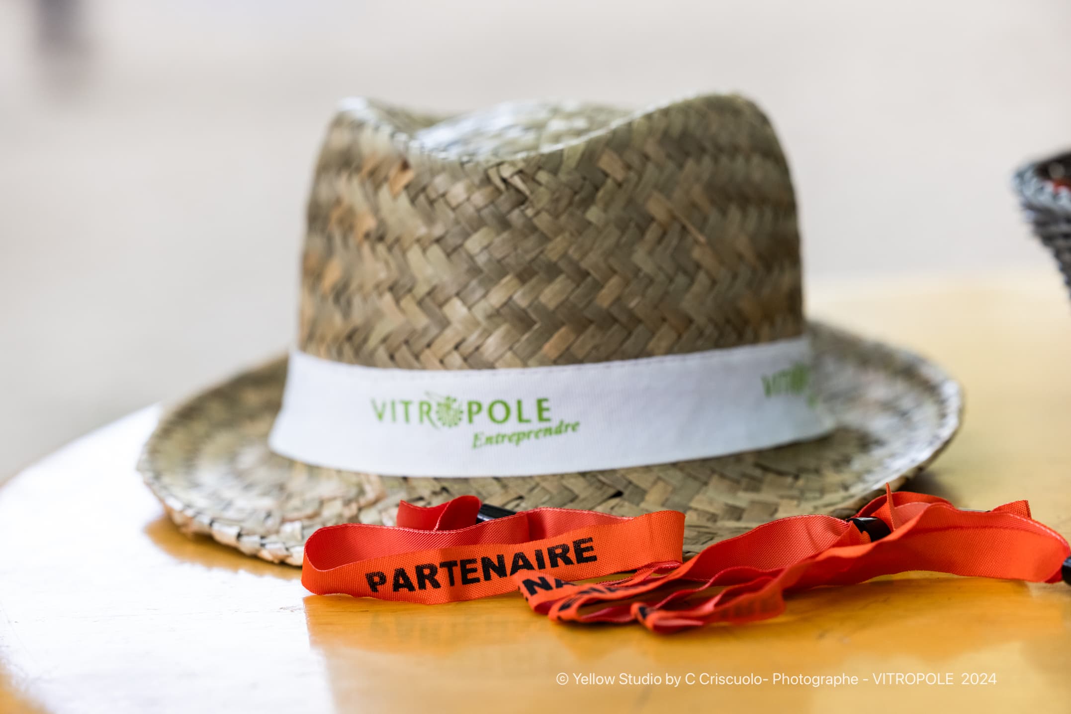 Écosystème Vitropole