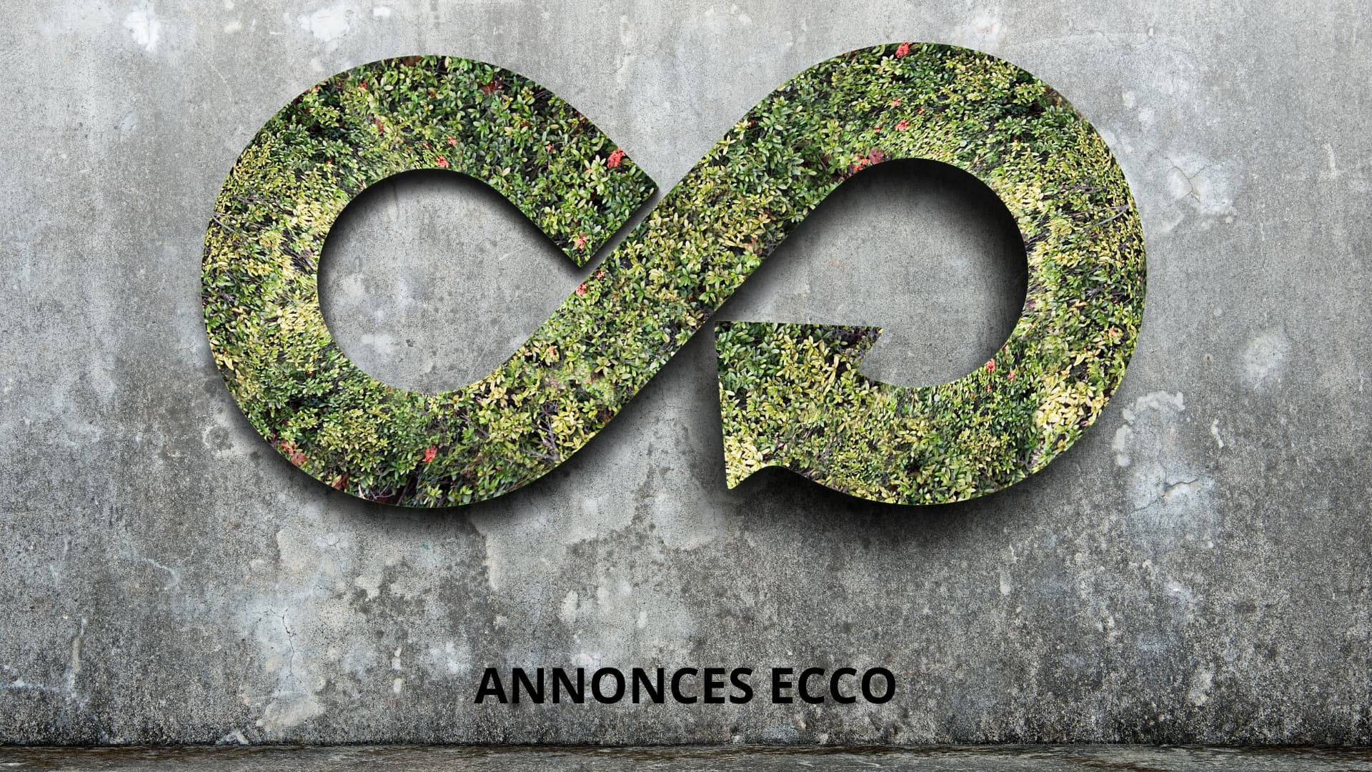 Les Annonces ECCO