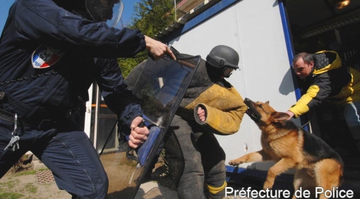 La brigade canine s'entraîne dans nos entreprises